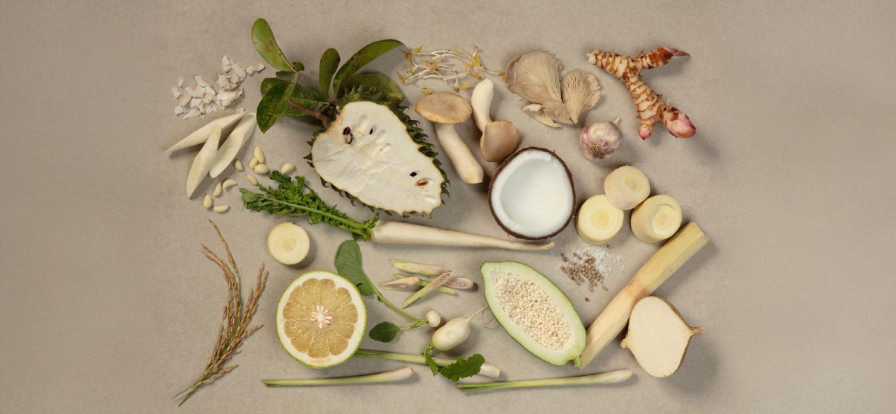 Firefly 20251022115953