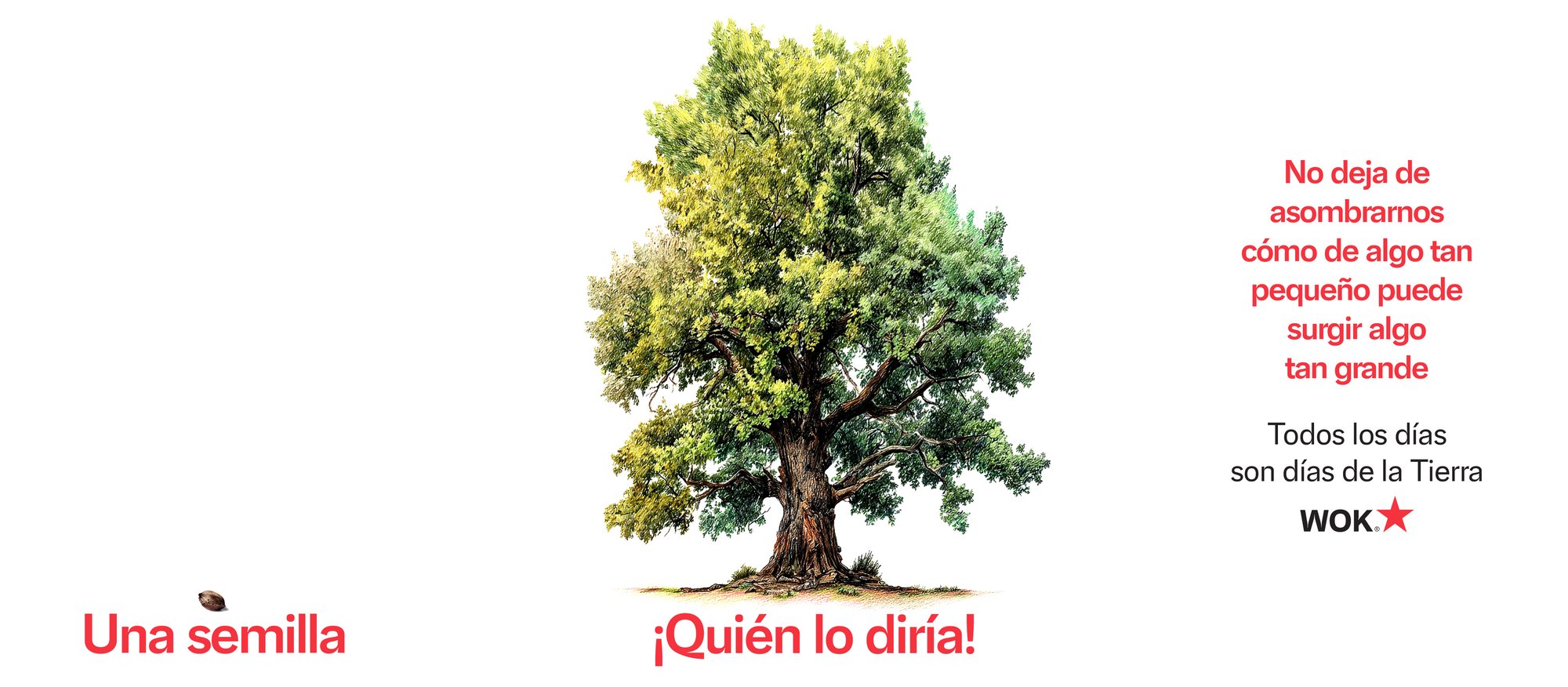 Wok_diadelatierra_website_1260x552px-1