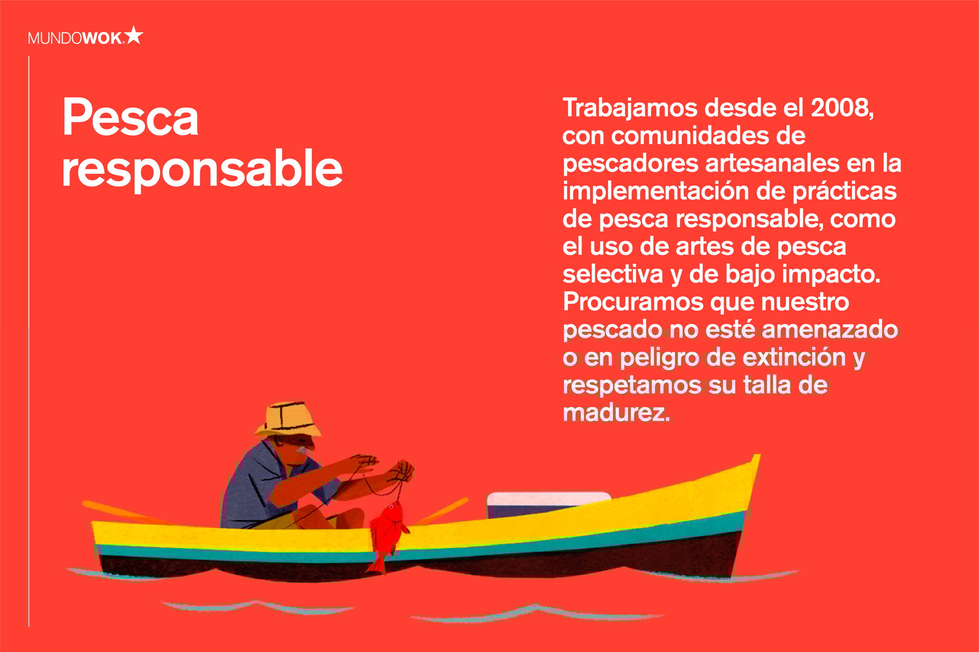 mundoWok_PESCA (1)